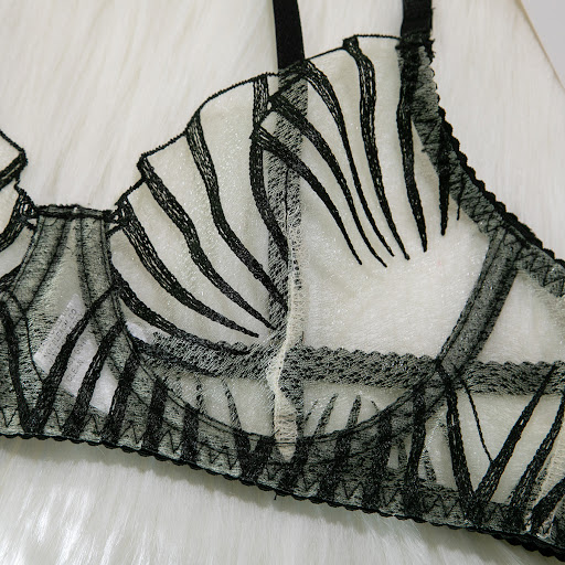 Title 8, Womens Embroidered Underwear See-through Three...