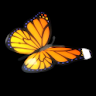 3d Butterfly Live Wallpaper icon