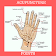 ACUPUNCTURE POINTS icon