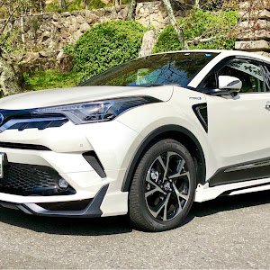 C-HR ZYX10