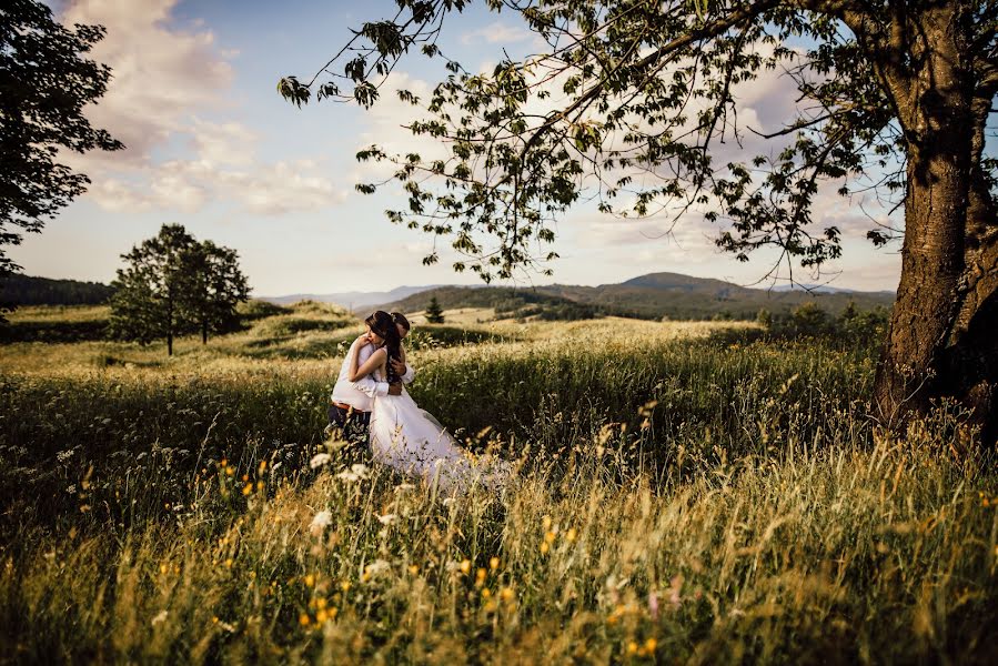 Fotograful de nuntă Darina Kubikova (dkub). Fotografia din 5 august 2020