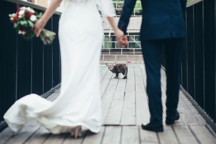 Fotógrafo de casamento Dmitriy Selivanov (dmitriselivanov). Foto de 31 de janeiro 2018