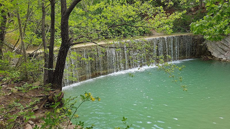 La natura si risveglia è Primavera di MWALTER