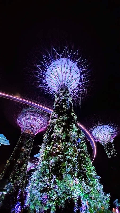 Guide to visiting Gardens by the Bay in Singapore: Supertree Grove in the evening