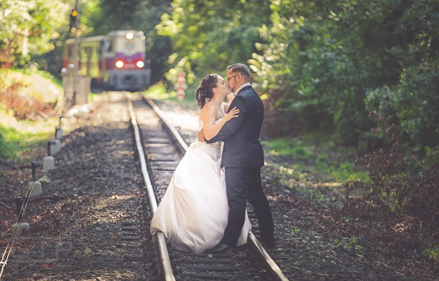 Fotógrafo de casamento Gergely Vas (gregoryiron). Foto de 1 de novembro 2014