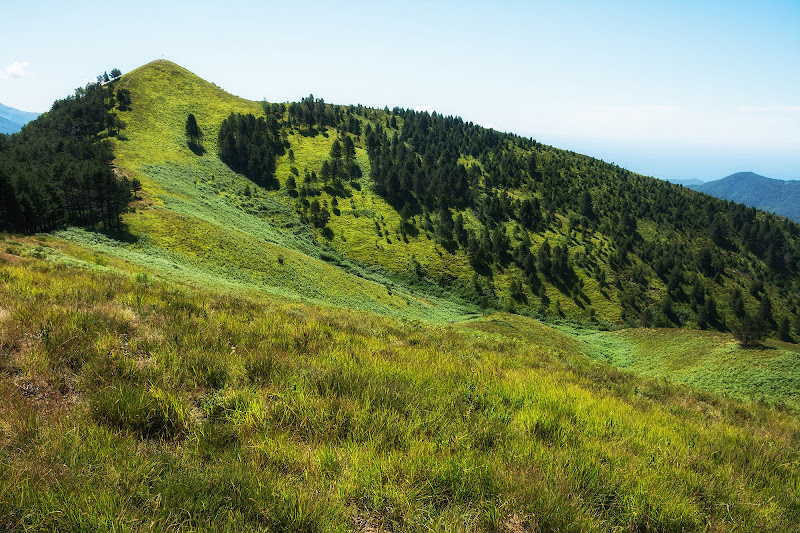 Tonalità di verde di LucaMonego