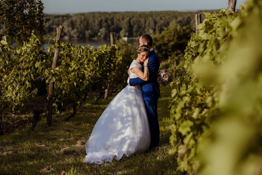 Fotógrafo de casamento Biljana Mrvic (biljanamrvic). Foto de 2 de setembro 2018