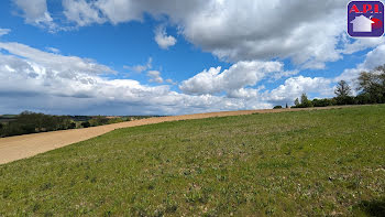 terrain à Nailloux (31)