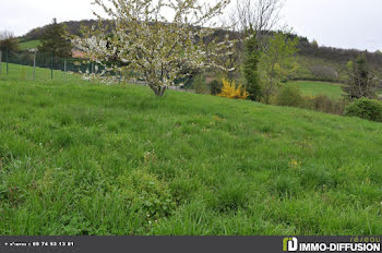 terrain à batir à Saint-Didier-au-Mont-d'Or (69)