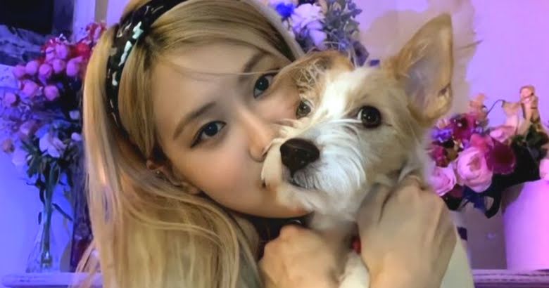 BLACKPINK's Rosé Video Chats Her Dog Hank, And His Hilarious Response To Her Is Just Too Sassy - Koreaboo