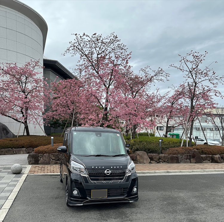 デイズルークスのハーフリアショット・春の風物詩と愛車・3月も宜しくお願い致しますに関するカスタム事例の投稿画像2枚目