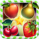 GARDEN MANIA GAME icon