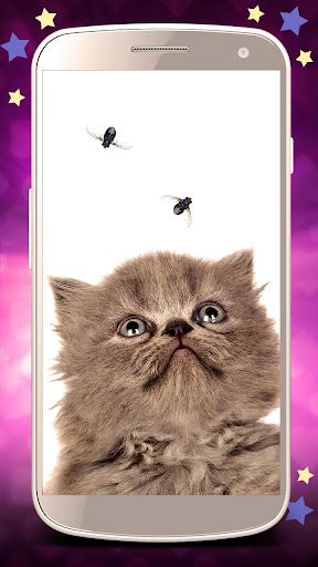 ✓ [Updated] Cute cats live wallpaper for PC / Mac / Windows 11,10,8,7 /  Android (Mod) Download (2023)