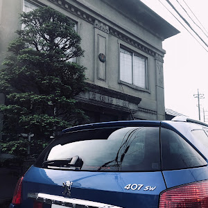 407 D2BRV