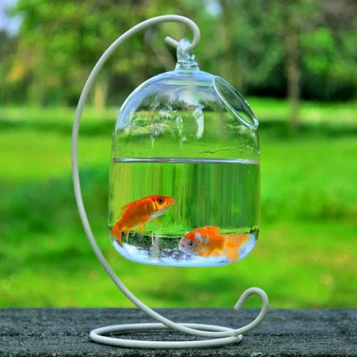 Display Mold Undeformable Practical Fine Workmanship Decorative Vase Fishbowl Hanging Fish Tank for Garden