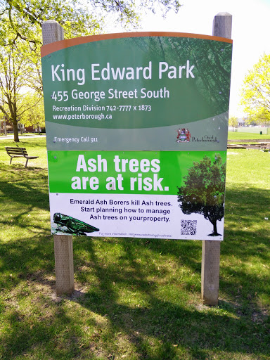 King Edward Park