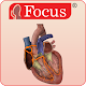 HEART - Digital Anatomy Atlas Download on Windows