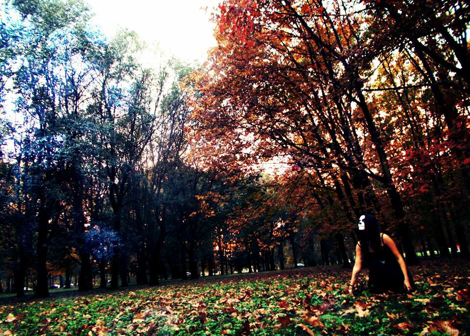 Come l'autunno ingiallisce il tempo... di IlFollettoChiara