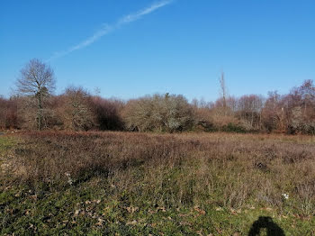 terrain à Villeneuve-de-Marsan (40)