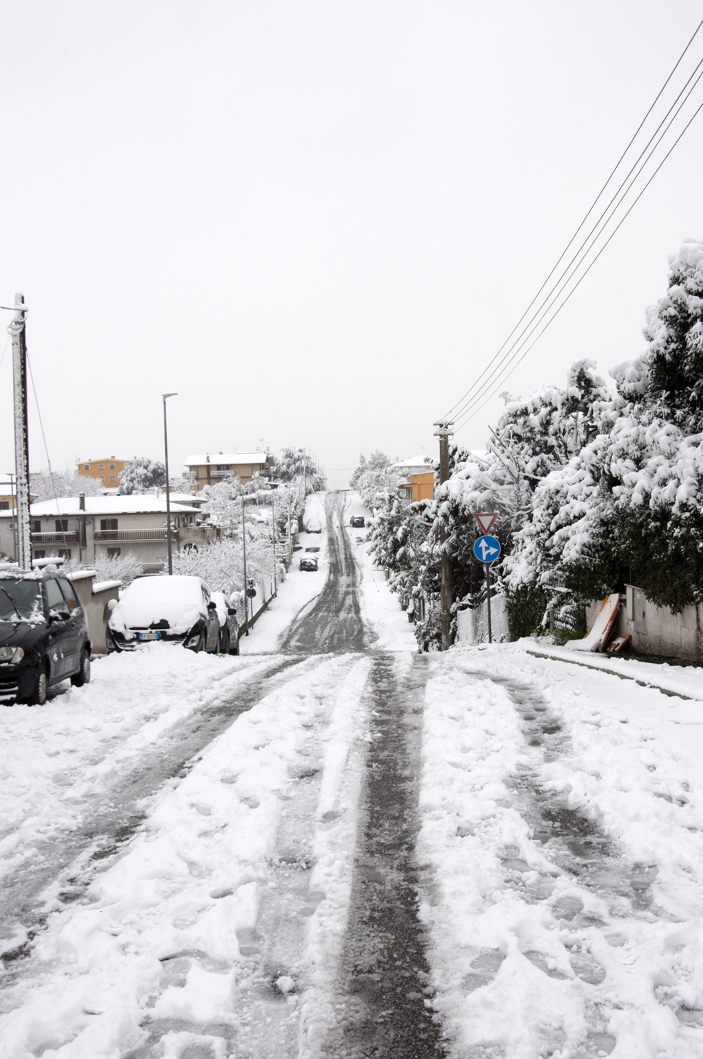 My street di Cifellina