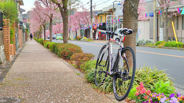 ポキオ輪業商会 Strava ラスペネ