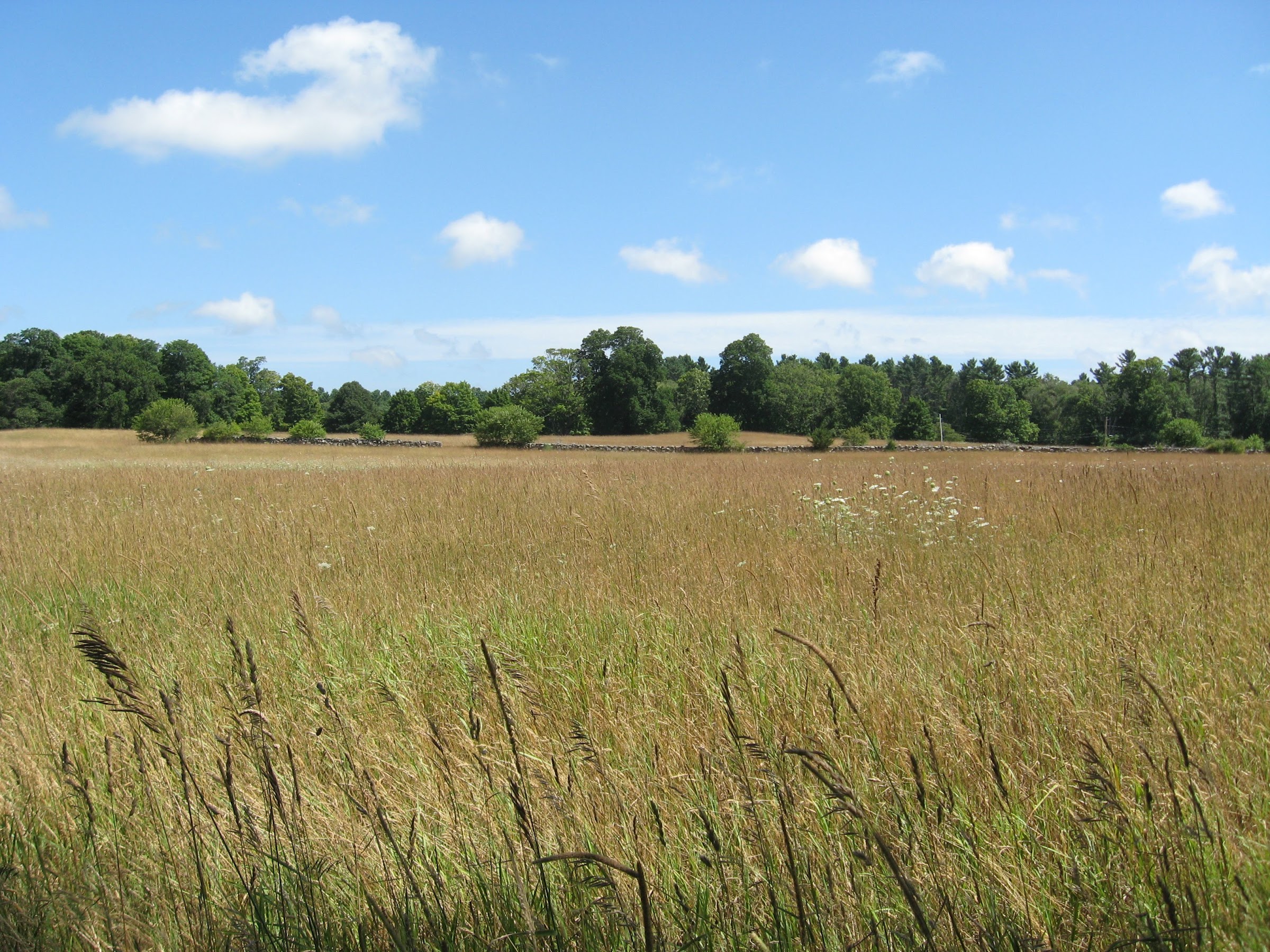 east over reservation old farm field