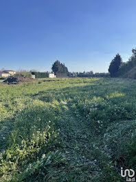 terrain à L'Isle-sur-la-Sorgue (84)