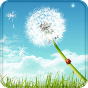 Dandelion Live Wallpaper  Icon