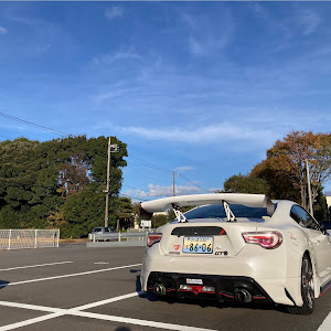 86 ZN6