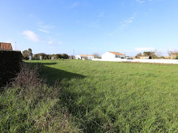 terrain à Saint-Pierre-d'Oléron (17)