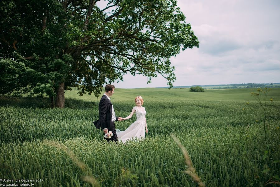 Fotógrafo de casamento Aleksandr Gadzan (gadzanphoto). Foto de 14 de agosto 2017