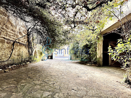 Maison avec jardin et terrasse 1