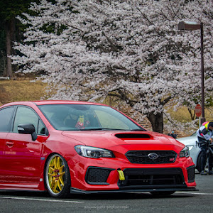 WRX STI VAB