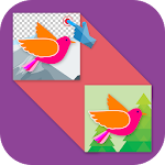 Photo Background Changer Apk