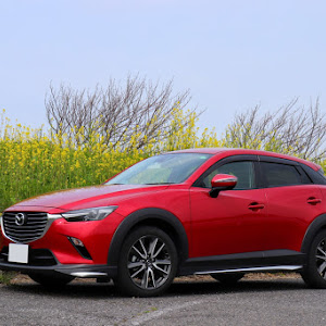 CX-3 DK5FW