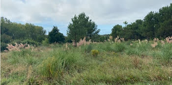 terrain à Saint-Hilaire-de-Riez (85)