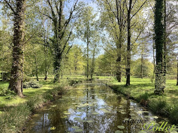 propriété à Lamotte-Beuvron (41)