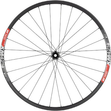 DT Swiss 350/XM421 Front Wheel - 29", 15x110mm, Center Lock alternate image 0