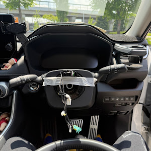 RAV4 MXAA54