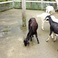 青山食藝料理餐廳