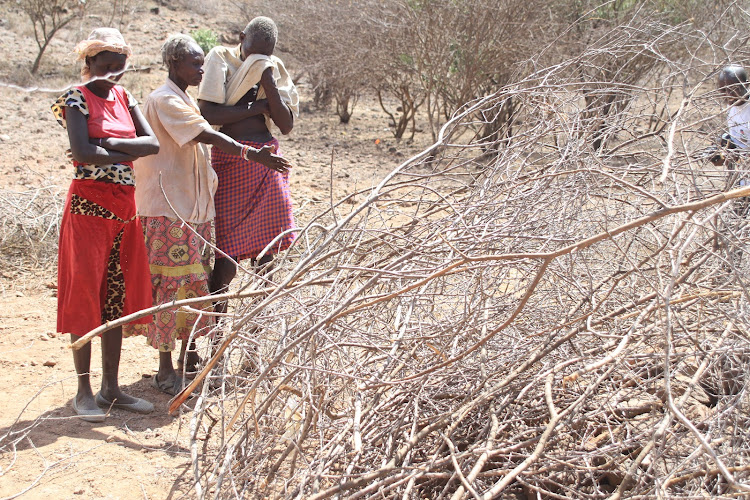 A family mourns at the gravesite of hunger victim Lokunyale Kamusuk, 45 at Kamasuk in Tiaty, Baringo county on March 15.