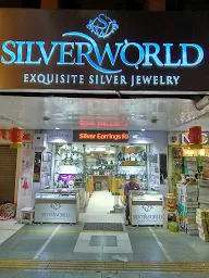 Silver World photo 5