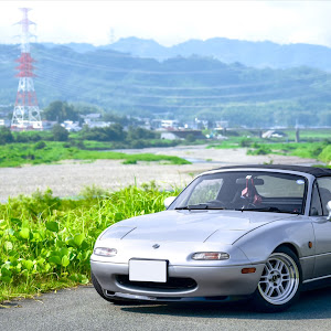 ロードスター NA8C