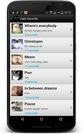 Screenshot Cat Sounds
