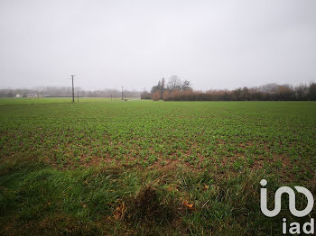 terrain à Nogent-sur-Loir (72)