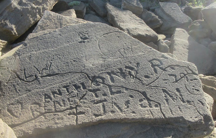 Graffiti obscures curved invertebrate traces on a rock surface in South Africa.