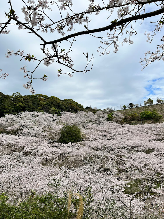 の投稿画像5枚目