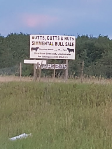 Tractor In The Middle Of Nowhere