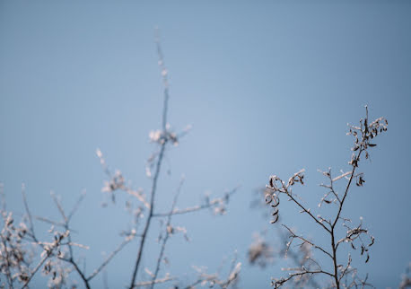 Esküvői fotós Grey Mount (greymountphoto). Készítés ideje: 2017 július 2.