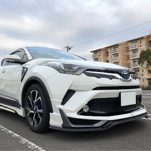 C-HR ZYX10